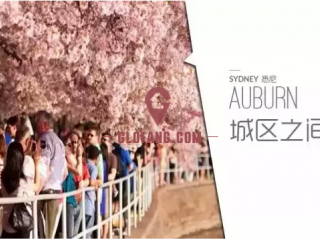 ϤỪתվAuburnڰ֮˶յӣ