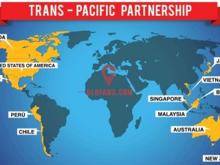 TPP̸дЭ ñԼ Ӱ켸Σ