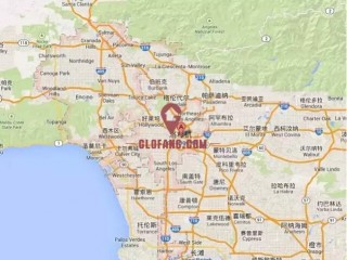 3ȸ13%+ ɼ鿴