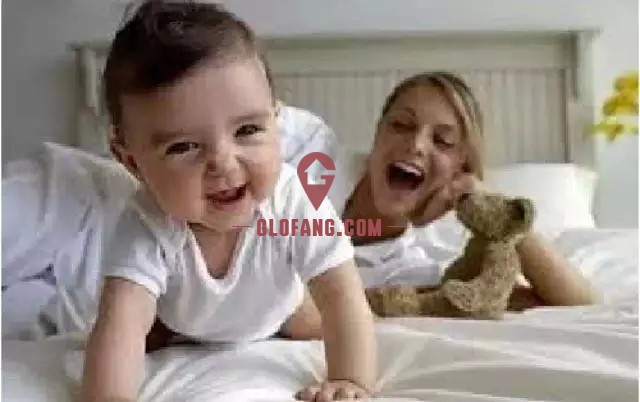 澳洲生孩子福利_澳洲 收入 福利(3)