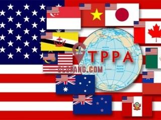 TPPAЭ¸½ǩ