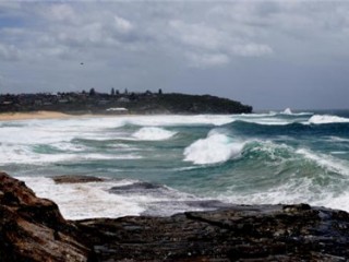 Curl Curl����Ϥ���������ֲ����� ��Ϊ������ȽȽ���������