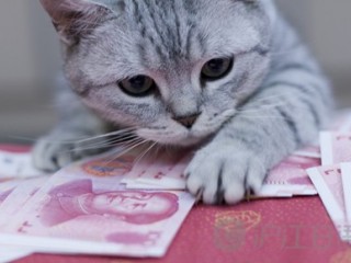 ǮʡģձѧʡǮ취