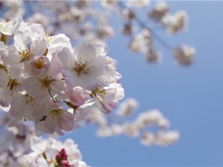 ձУݴѧ