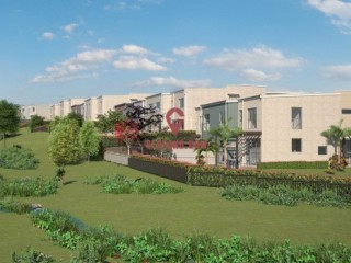 �¿��������������ɴ���סլ������