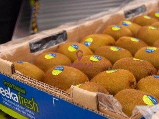 ������⨺��Ҳ�������¼