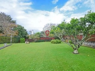 �����ֳ�ֱ��|�����۸���ӵ�������������ռ��65%���ͼ۷�����׷���� ... ...