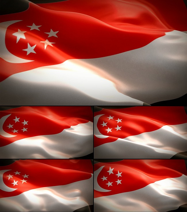 新加坡历任总统