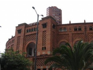 㲻֪ĸױǵ׶Bogota