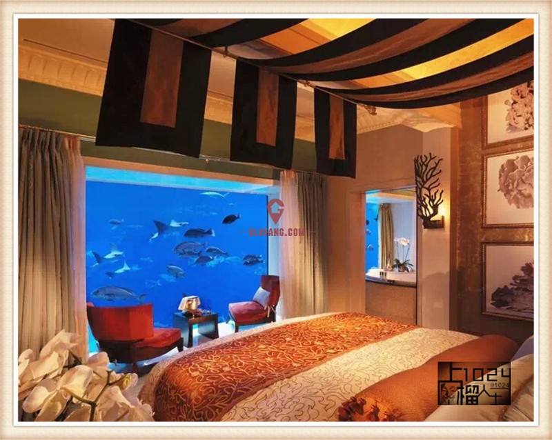 ��Ѫ��������������鿴��ͼ