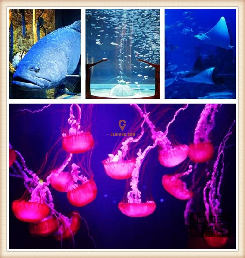 ��Ѫ��������������鿴��ͼ