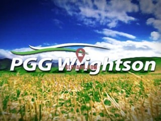 Wrightsonܻ˰ͣӯ