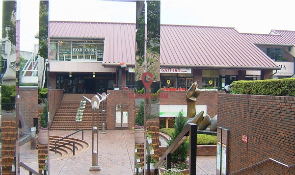 GALA PRECIOUS ����Է