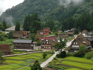 �ٽ��������˻� �ձ����л���α䶯?