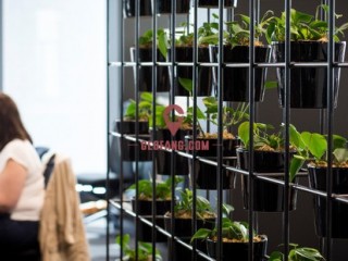 �о��������ڰ칫�Ұڷ�ֲ����������߹���Ч��