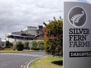 �������ˣ��Ϻ�÷���չ���ާũ�������ɷݻ�����ͨ����