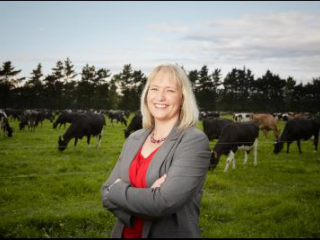 ����Ʒǰ����� ��ũ���ı�����