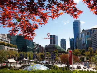 ���ô�10�����񵥳�¯�������г���Ȼ����