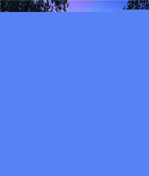 ڶ޾