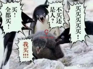 йܾϲ顰ϰҡʽţţ취ܱѶ࡭