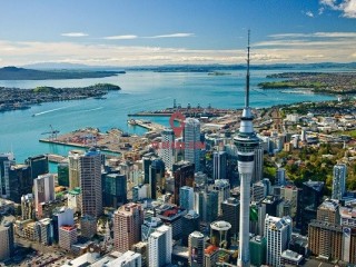 Harcourts¿зԴ40%лع齡ģʽ
