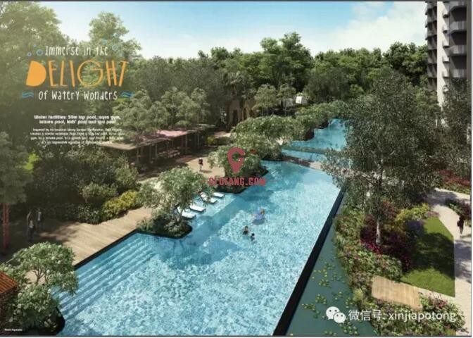 �¼�����������Ԣ1��58.8����2��74���𣬱��8062