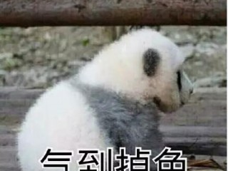 ɳһ˳оթƭ ˱