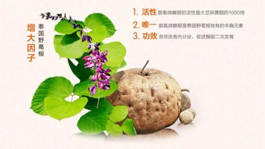 泰国野葛根是否有副作用