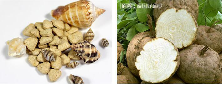 泰国野葛根哪里有卖?