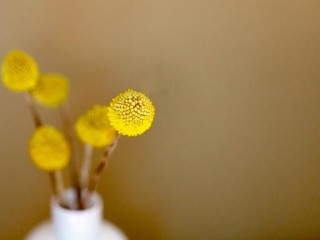 ¸绪ļ׵˭