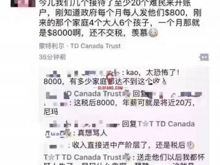 ô$8000ըȦ