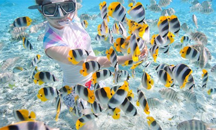 奔走相告!泰国普吉斯米兰又开放了!_海外生活