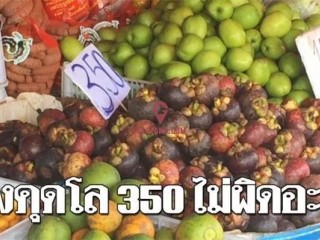 ̩ɽÿﾹҪ350
