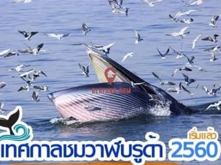 Ҫ˲Ͼ̩ا;ڡݴ