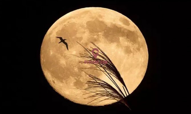 123Լ̩ͳ“Super Full Moon”5.jpg