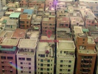 �ձ�������ס���������������20%