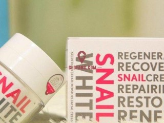 ̩Snail white ţ˪Ч