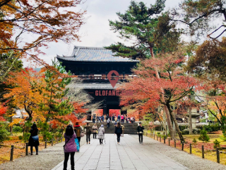 2020꣬ձ1.2¾Ƶͷ