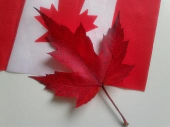 ���ô���ʡ�����������