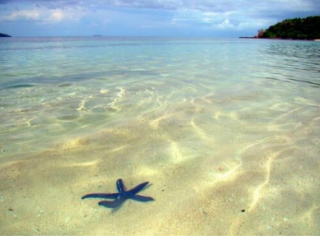 斐济旅游攻略_斐济旅游要多少钱_斐济旅游季