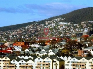 ������ԥ�Ƿ�Ͷ�ʻ����ط����� �������������˲��������