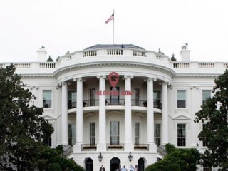 2020ѡЩ ˭ΪյĶ