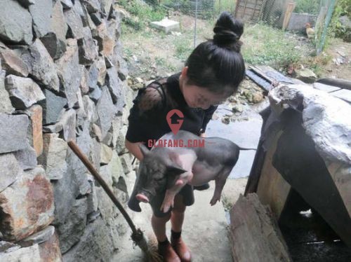 ������С�������ɴ����