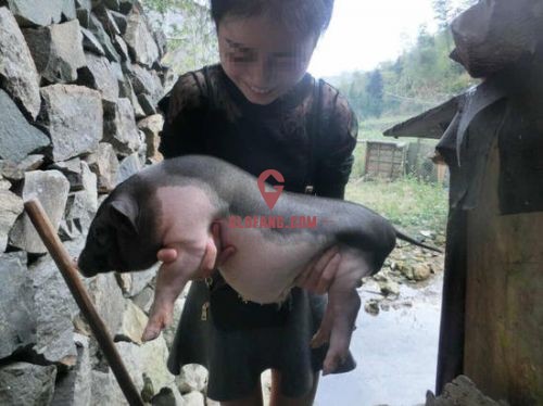 С�������ɴ����