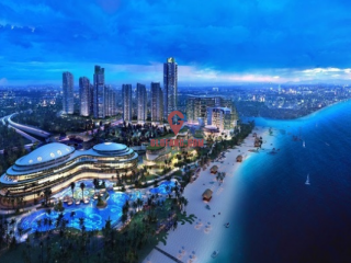 ��������������ݳ�Ѱ���ɭ�ֳ������۽���ĳ���