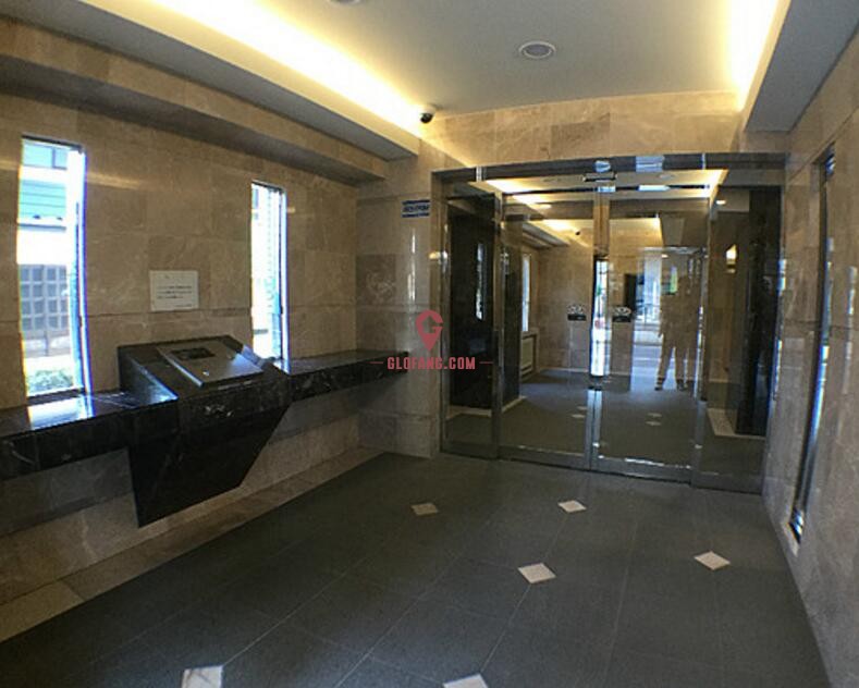 东京大田区 带租高回报率投资公寓