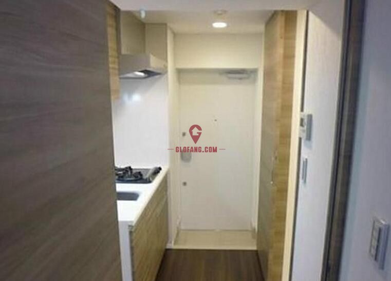 东京大田区 带租高回报率投资公寓