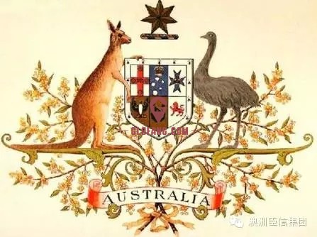 移民美国的好处和坏处_移民美国的条件是什么_移民美国移民