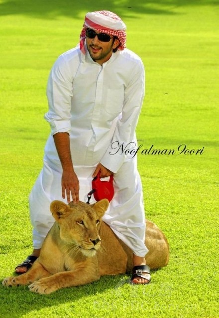 养狮子的哈曼丹阿拉伯王子太多 别把马克图姆和弟弟弄混了迪拜率属于