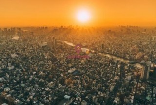 ձ߼Ԣ¹ԢӦˮƽӽ43͵